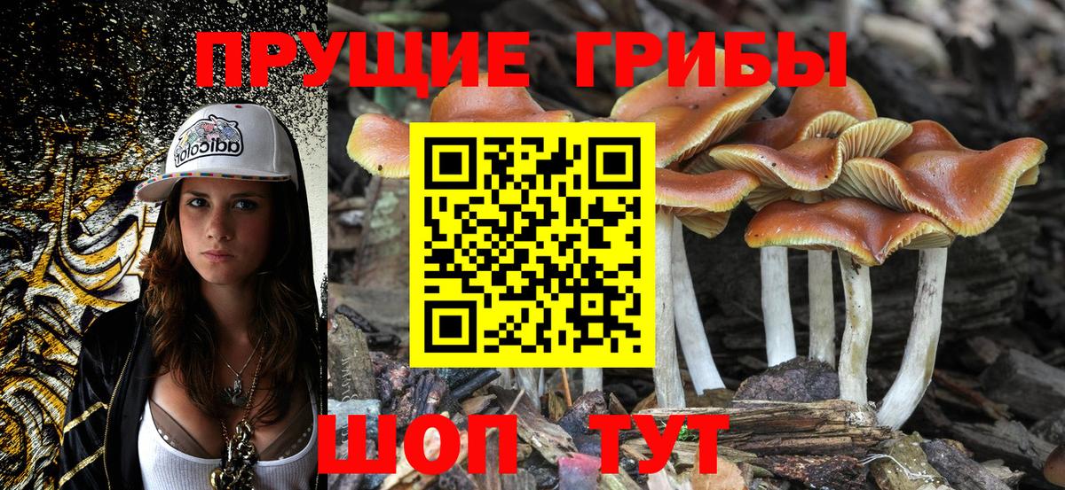 Галлюциногенные грибы мицелий Калач-на-Дону