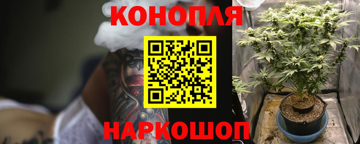 Конопля планчик  Канабис планчик  Канабис конопля  Калач-на-Дону  Вход с VPN  МАРИХУАНА SATIVA & INDICA 